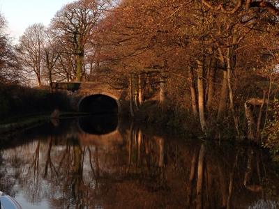 Autumn colours on the Lancaster canal featuring trees, the canal and a canal bridge with towpath