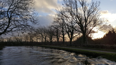 The Lancaster canal at dusk on a winter evening with trees and canal towpath, taken from a hire narrowboat